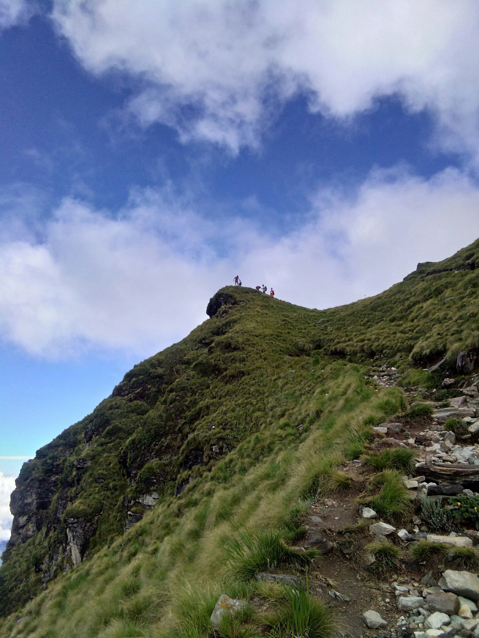 people on hill during daytime